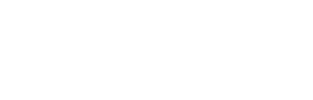 Vice